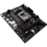 Biostar A620MS, Placa base negro