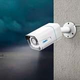 Reolink P430 Bala (forma) Cámara de seguridad IP Interior y exterior 3840 x 2160 Pixeles Pared, Cámara de vigilancia blanco, Cámara de seguridad IP, Interior y exterior, Alámbrico, Google Assistant, Pared, Blanco