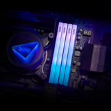 ADATA DIMM 16 GB DDR5-6000, Memoria RAM blanco