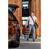 EINHELL Maletín de sistema E-Case S-F incl. divisores, Caja de herramientas negro/Rojo
