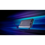 Intenso Powerbank F10000 Gris, Banco de potencia gris