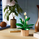 LEGO 11504, Juegos de construcción 