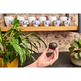 Shelly H&T, Termodetector negro