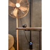 Shelly H&T, Termodetector negro