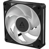 ARCTIC BioniX P12 A-RGB, Ventilador negro/blanco
