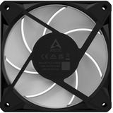 ARCTIC BioniX P12 A-RGB, Ventilador negro/blanco