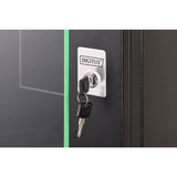 Digitus DN-19 16-U-EC-SW, Armario IT negro