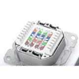 Digitus Toma de datos CAT.6A, empotrada, apantallada, 2x RJ-45 LSA, Caja de conexiones blanco