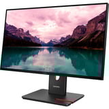 Lenovo ThinkVision T24-40 Monitor, Monitor LED negro, 60,5 cm (23.8"), 1920 x 1080 Pixeles, Full HD, LCD, 6 ms, Negro