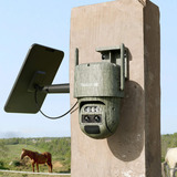 Reolink Reolink Trackmix Series G770 con Solarpanel 2, Cámara de vigilancia camuflaje