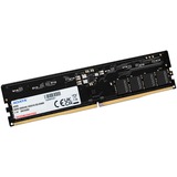 ADATA Premier módulo de memoria 32 GB 1 x 32 GB DDR5, Memoria RAM negro, 32 GB, 1 x 32 GB, DDR5, 5600 MHz, 288-pin DIMM