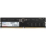 ADATA Premier módulo de memoria 32 GB 1 x 32 GB DDR5, Memoria RAM negro, 32 GB, 1 x 32 GB, DDR5, 5600 MHz, 288-pin DIMM