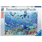 Ravensburger 17444, Puzzle 