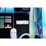 Kingston FURY FURY Beast RGB módulo de memoria 64 GB 2 x 32 GB DDR5 6000 MT/s, Memoria RAM blanco, 64 GB, 2 x 32 GB, DDR5, 288-pin DIMM