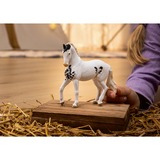 Schleich HORSE CLUB 14898 figura de juguete para niños, Muñecos 5 año(s), Multicolor
