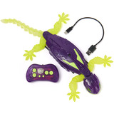 Spin Master Hex Bots - Wallcrawler Gecko: Lagarto Trepador Paredes On Ojos Led Y Piernas Que Brillan En La Oscuridad | Robot Niños Control Remoto Recargable | Regalo Niño 4 Años | Juguetes Niños 4 Años, Muñecos Hex Bots - Wallcrawler Gecko: Lagarto Trepador Paredes On Ojos Led Y Piernas Que Brillan En La Oscuridad | Robot Niños Control Remoto Recargable | Regalo Niño 4 Años | Juguetes Niños 4 Años, 4 año(s)
