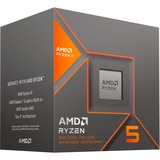 Ryzen™ 5 8600G, Procesador