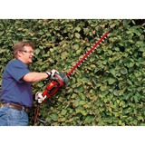 EINHELL GC-EH 6055/1 Cuchilla sencilla 600 W 3,47 kg, Cortasetos rojo/Negro, Corriente alterna, 600 W, 220 - 240 V, 50 Hz, 3,47 kg, 190 mm