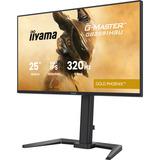 iiyama GB2591HSU-B1, Monitor de gaming negro (mate)