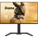 iiyama G-MASTER GB2591HSU-B1, Monitor de gaming negro (mate)