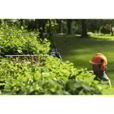 Bosch 06008D5100, Cortasetos azul/Negro