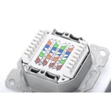 Digitus Toma de datos CAT.6A, superficie, apantallada, 2x RJ-45 LSA, Caja de conexiones blanco