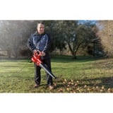 EINHELL GC-EL 3000 E, Aspirador/soplador rojo/Negro
