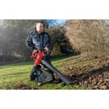 EINHELL GC-EL 3000 E, Aspirador/soplador rojo/Negro