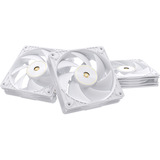 ASUS ProArt PF120, Ventilador blanco, Ventilador, 12 cm, Blanco