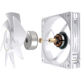 ASUS ProArt PF120, Ventilador blanco, Ventilador, 12 cm, Blanco
