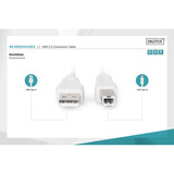 Digitus Cable de conexión USB 2.0 USB-A (enchufe) > USB-B (enchufe) beige