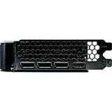 Gainward GeForce RTX 5060 Ghost 8GB, Tarjeta gráfica 