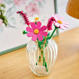 LEGO Botanicals Kosmeen, Juegos de construcción 