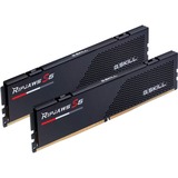 G.Skill F5-6000J4040F16GX2-RS5K, Memoria RAM negro