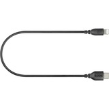 Rode Microphones Cable adaptador USB SC21, conector USB-C > conector Lightning negro