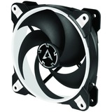 ARCTIC BioniX P120 Carcasa del ordenador Ventilador 12 cm Negro, Blanco negro/blanco, Ventilador, 12 cm, 2100 RPM, 25,5 dB, 67,56 cfm, 114,79 m³/h