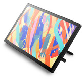 Wacom DTK246, Tableta gráfica negro