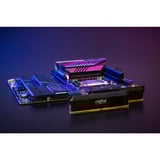 Crucial DIMM 32 GB DDR5-6000 (2x 16 GB) Dual-Kit, Memoria RAM negro