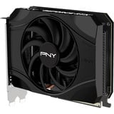 PNY GeForce RTX 5050 Ventilador Único, Tarjeta gráfica 