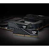 ADATA LANCER BLADE DDR5 módulo de memoria 32 GB 1 x 32 GB ECC, Memoria RAM negro, 32 GB, 1 x 32 GB, DDR5, 6000 MHz, 288-pin DIMM
