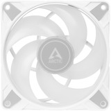 ARCTIC P14 PWM PST A-RGB, Ventilador blanco