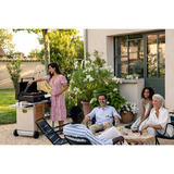 Campingaz Plancha Onyx 2, Placa de la parrilla negro