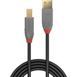 Lindy Cable USB 3.2 tipo A a B, Anthra Line gris