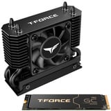 Team Group T-Force GC PRO 2 TB, Unidad de estado sólido negro