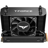 Team Group T-Force GC PRO 2 TB, Unidad de estado sólido negro