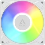 ARCTIC BioniX P12 A-RGB, Ventilador blanco/blanco