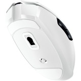 Razer Orochi V2 ratón mano derecha RF inalámbrico Óptico 18000 DPI, Ratones para gaming blanco, mano derecha, Óptico, RF inalámbrico, 18000 DPI, Blanco