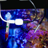 Shelly Sensor de temperatura DS18B20 