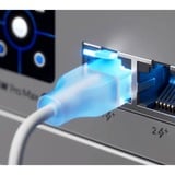 Ubiquiti Cable de parche UniFi Etherlighting Cat.6 blanco/Transparente