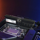 ADATA CUDIMM 16 GB DDR5-6400, Memoria RAM 